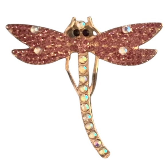 Jewelry - Dragonfly brooch/Pin